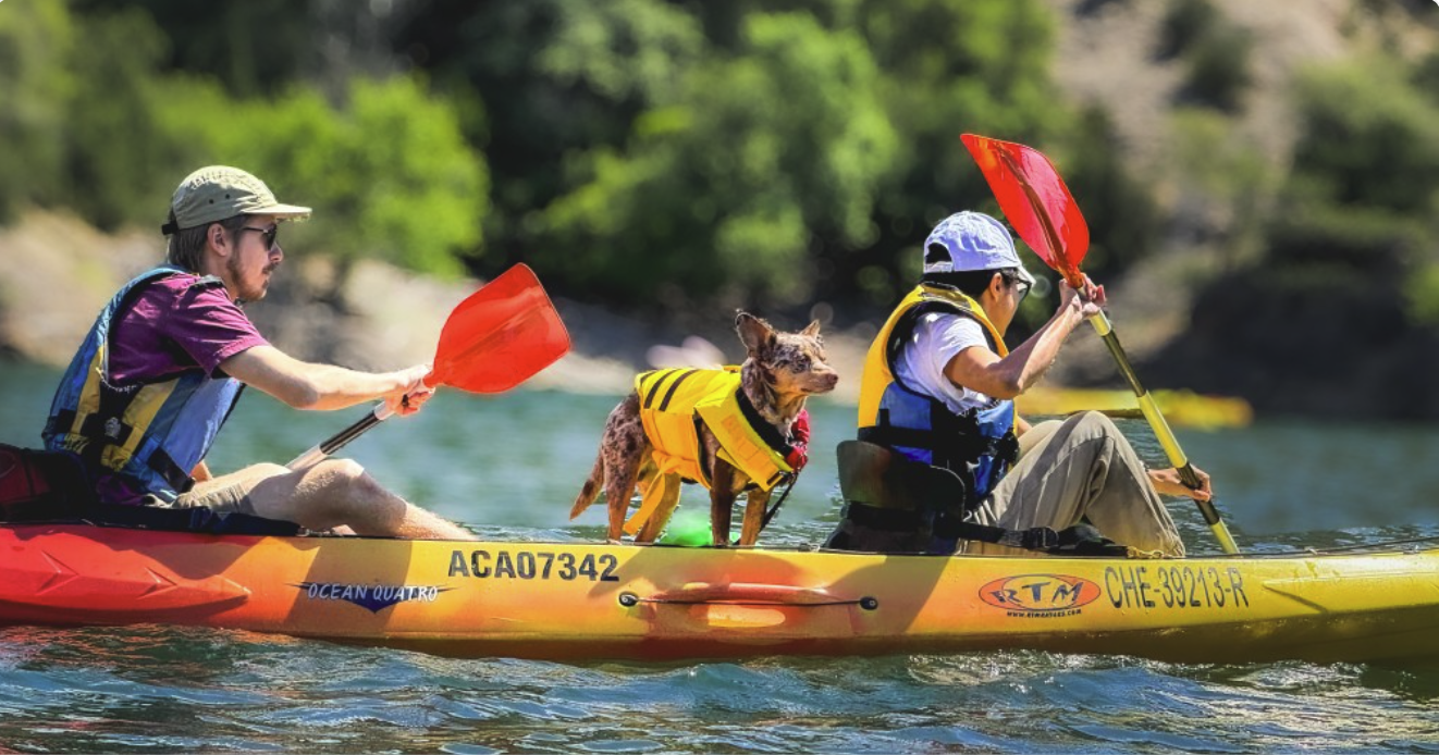 Experiencias Groupet, Kayak con perros en grupo